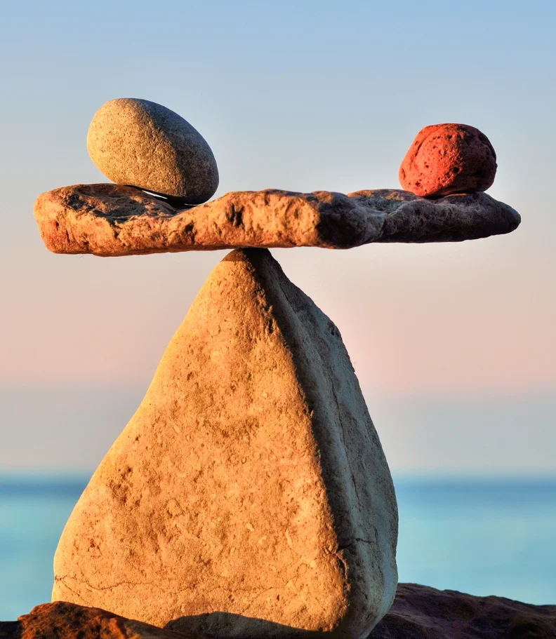 Wellness Care in Fort Collins