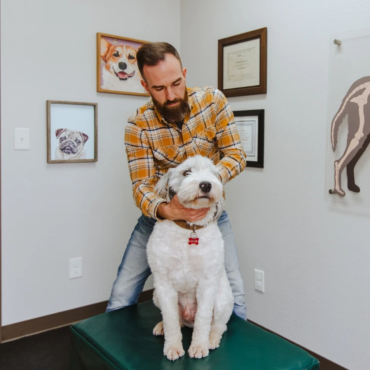 Chiropractic Fun Facts Home