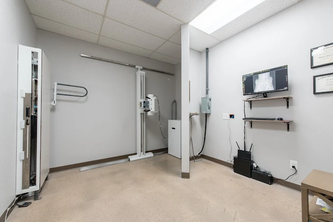 Brave Roots Chiropractic Fort Collins CO