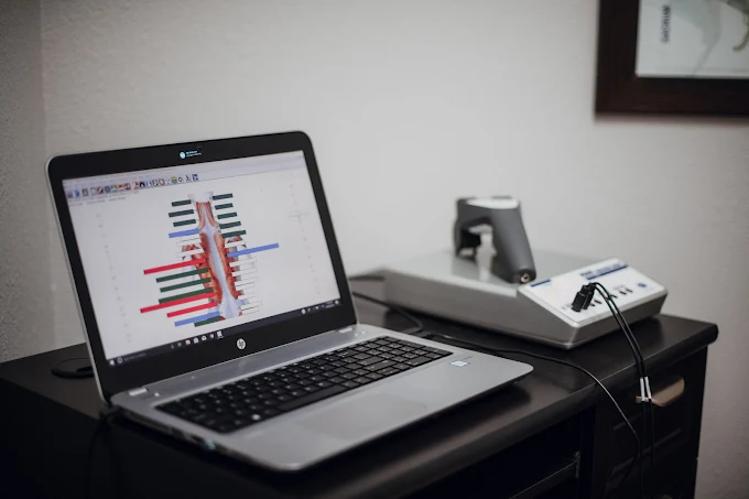 Brave Roots Chiropractic Fort Collins CO